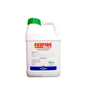 Cuspide 480 SL
