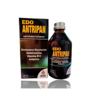 Edo Antripan