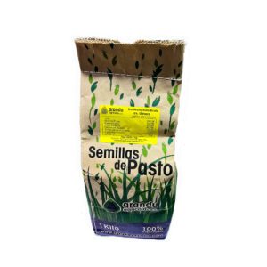Urochloa Dictyoneura CV Llanero De 1 Kilo